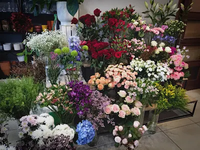 Kwiaciarnia Kwiatek Kraków